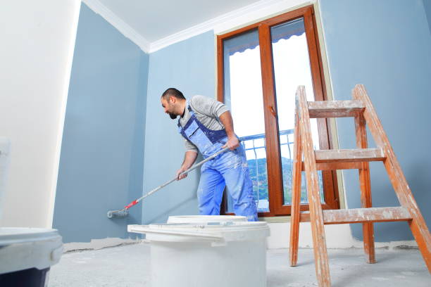 Best Basement Mold Removal  in Granby, MO