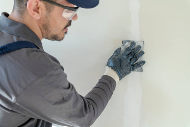 Best Asbestos and Lead Testing During Mold Inspection  in Granby, MO