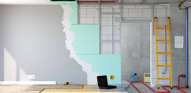 Best Mold Documentation for Insurance Claims  in Granby, MO