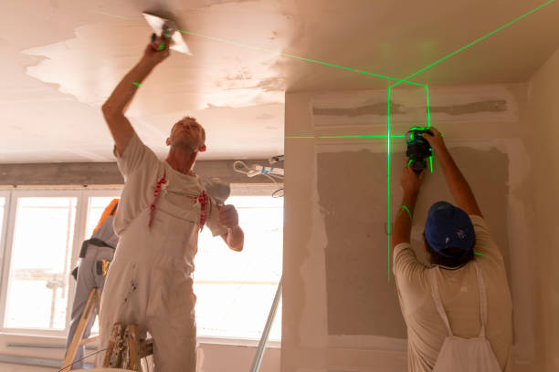 Best Mold Damage Restoration  in Granby, MO