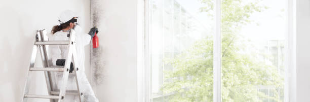 Best Industrial Mold Remediation  in Granby, MO