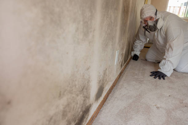 Best Air Quality Testing for Mold Spores  in Granby, MO