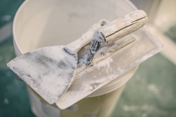 Best Attic Mold Removal  in Granby, MO
